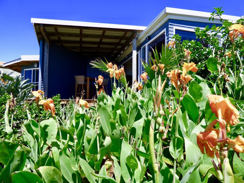 Arthouse Beachfront Accommodation Emerald Beach Exterior photo